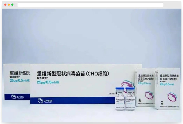 中国仓鼠卵巢 (CHO)细胞.jpg