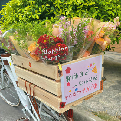 关于养宠物的知识