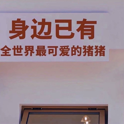 宠物店知识产权