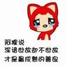 每周一个宠物知识