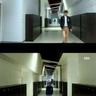 播放宠物知识视频