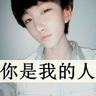 关于宠物狗的知识