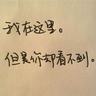 宠物皮毛营养知识